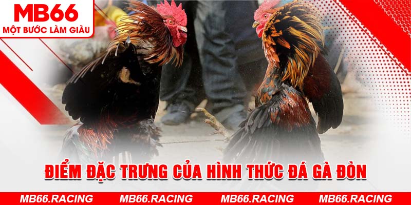 Điểm đặc trưng của hình thức đá gà đòn