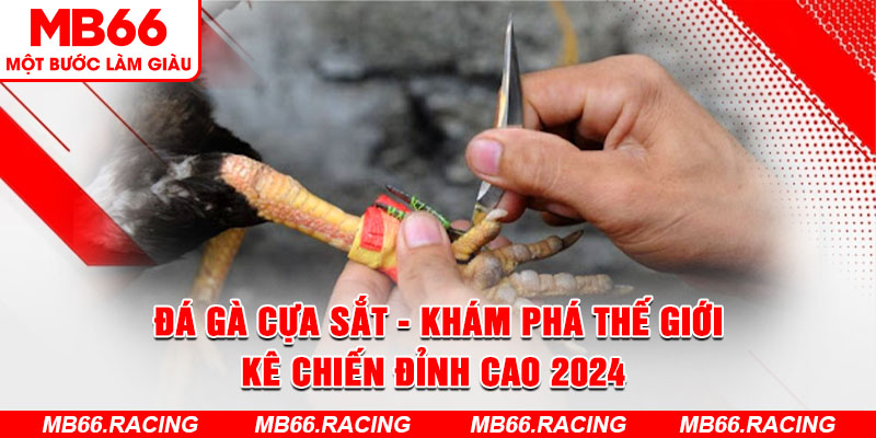 Đá gà cựa sắt - Khám phá thế giới kê chiến đỉnh cao 2024