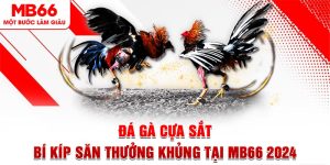 Đá Gà Cựa Sắt - Bí Kíp Săn Thưởng Khủng Tại MB66 2024