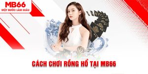 Cách Chơi Rồng Hổ Dành Cho Thành Viên Tại Nhà Cái MB66